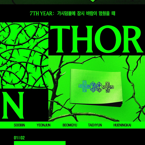 7TH YEAR: A Moment of Stillness in the Thorns (THORN ver.) — zdjęcie