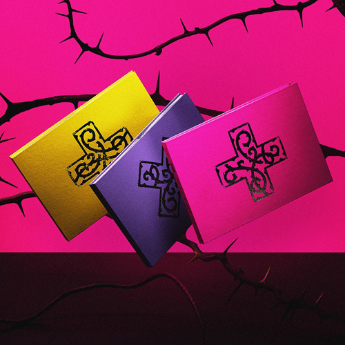 7TH YEAR: A Moment of Stillness in the Thorns